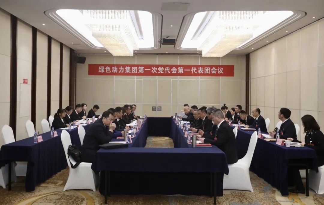 铭刻使命再启程，代表热议“两委”汇报