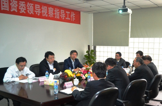 北京市国资委、国资公司辅导到mg冰球突破豪华版视察领导工作