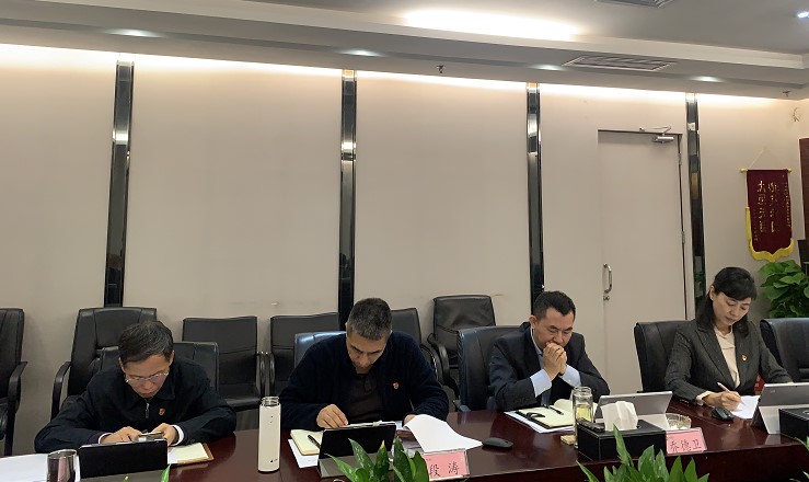 mg冰球突破豪华版集团党委召开2020年全面从严治党（党建）工作专题会