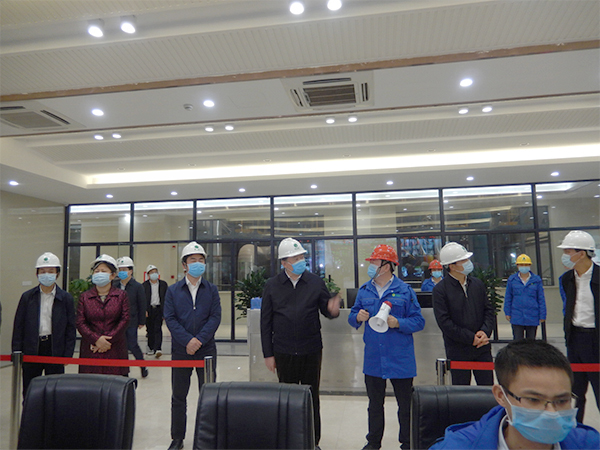 广西壮族自治区人大常委会副主任张秀隆视察mg冰球突破豪华版博白项目