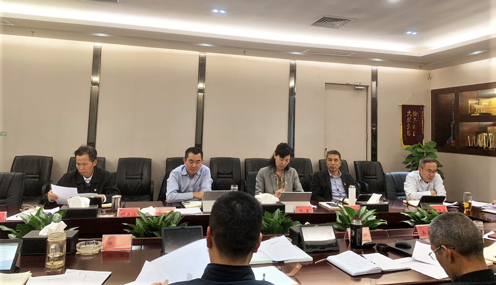 mg冰球突破豪华版集团党委召开巡察整改工作辅导幼组会议