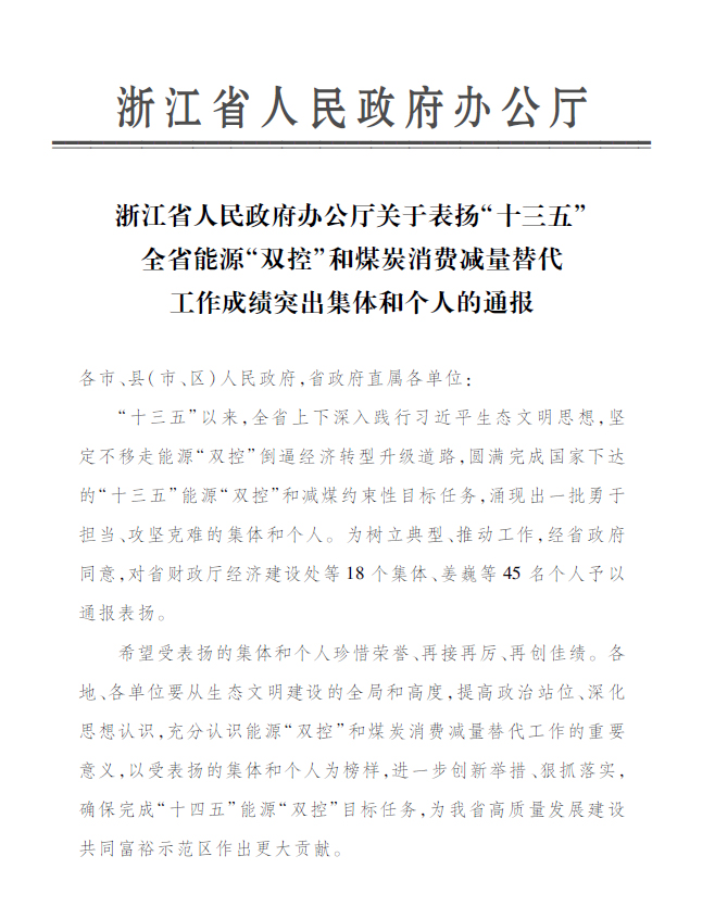 mg冰球突破豪华版永嘉公司付金轩获“浙江省能源‘双控’工作成就凸起幼我”赞美